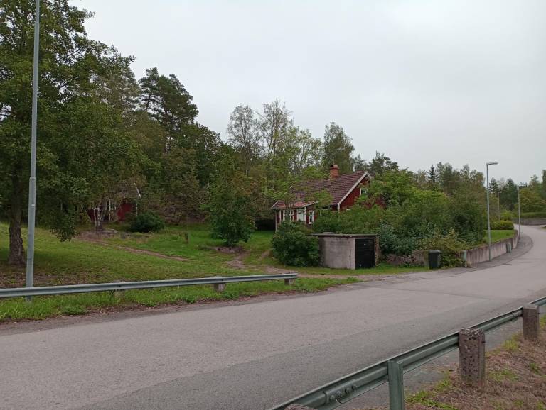foto19