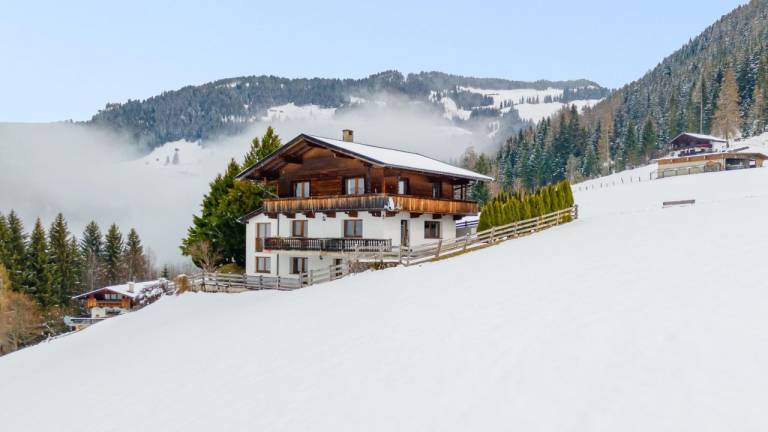 Ferienhaus Inneralpbach