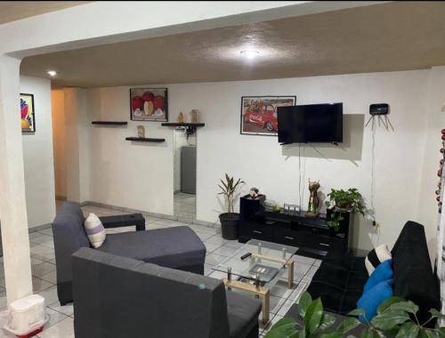 Departamento con terraza lobo