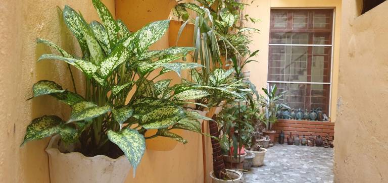 Fully equipped pleasant rental apartment with terrace | Suitable for remote work | Dogs allowed — photo 4
