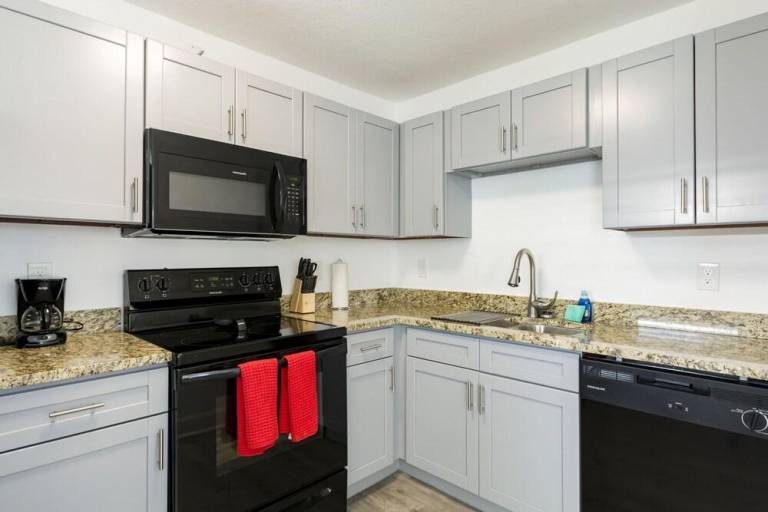 Wonderful serviced apartment with pool, barbeque & patio | Beach nearby | Pets allowed in Treasure Island, FL