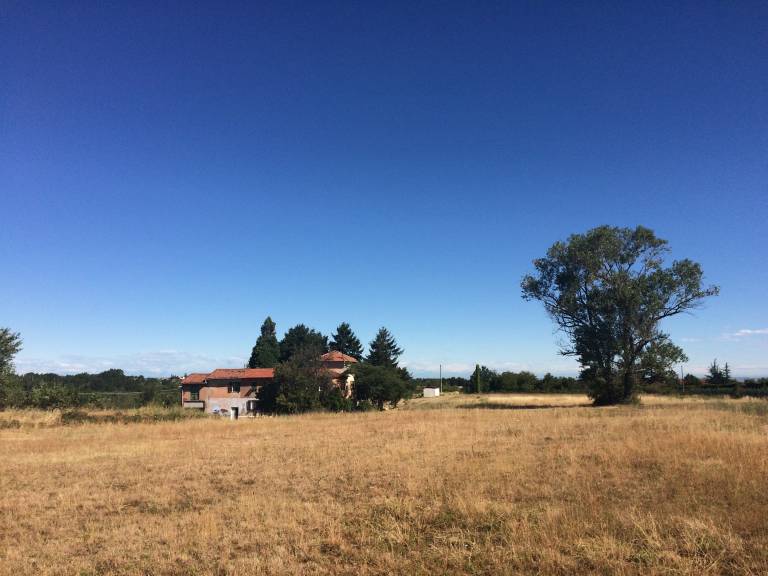 foto41