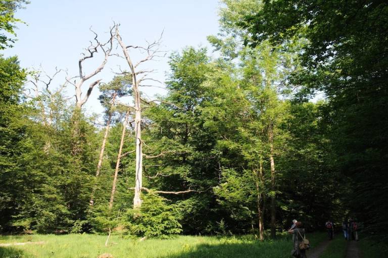 foto19