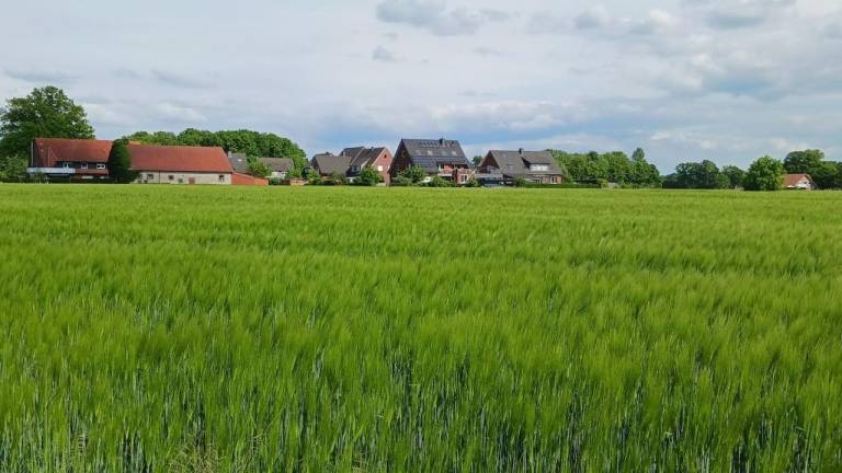 Ferienwohnung  Halle (Westfalen)