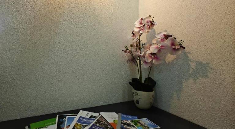 foto12