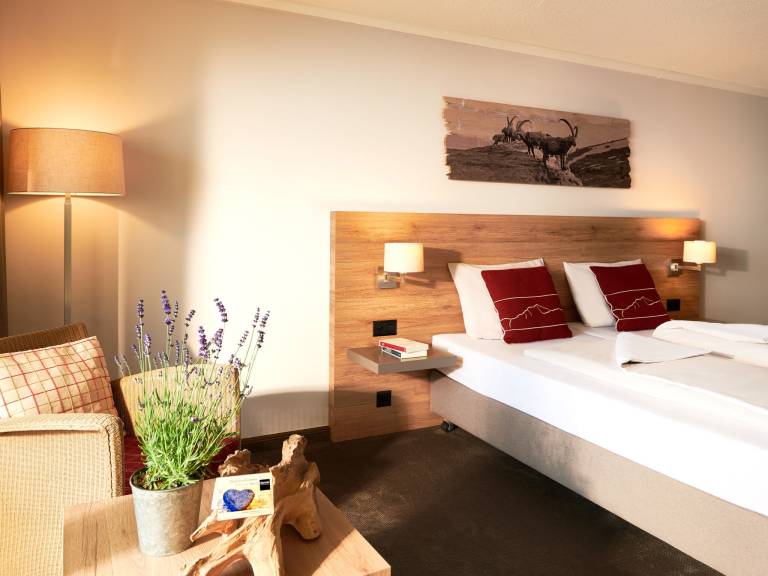 Lovely holiday apartment with sauna, terrace & pool | Pets are welcome — photo 5