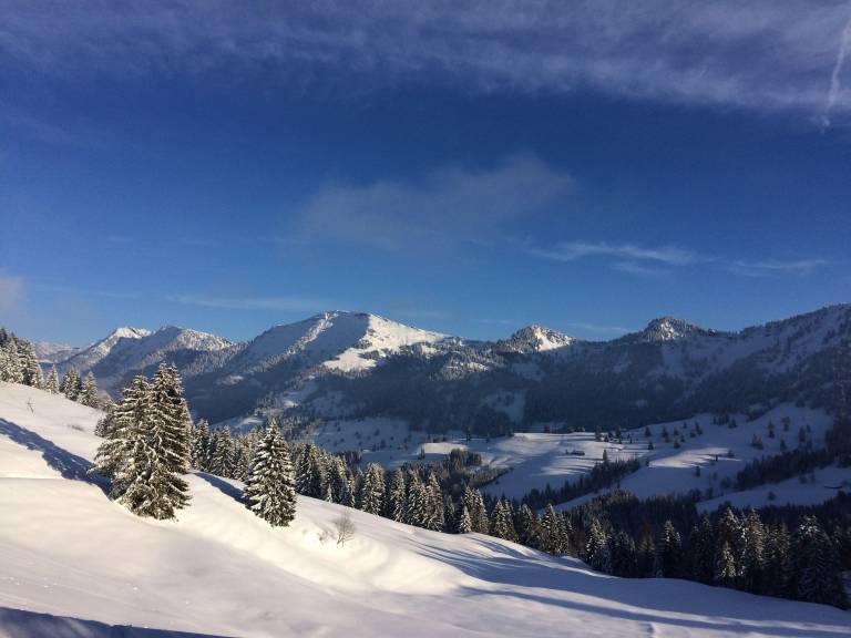 foto21