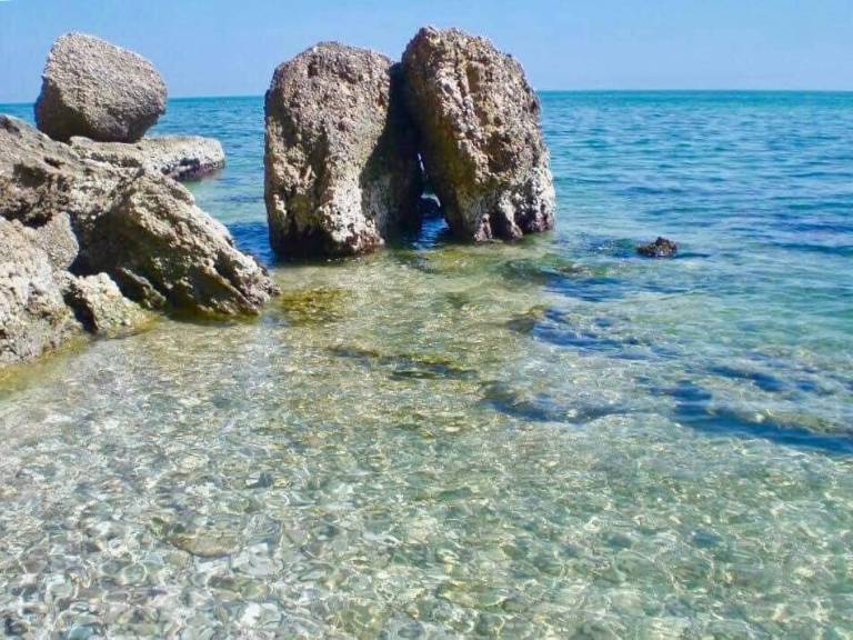 foto1