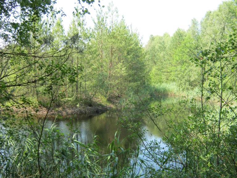 foto15