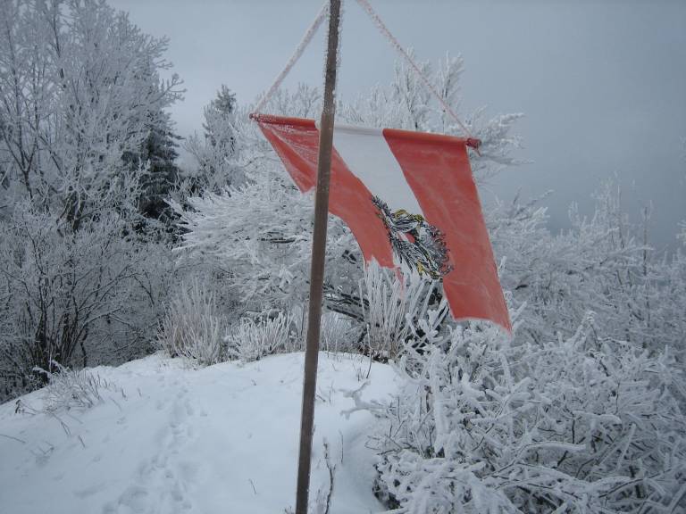 foto7