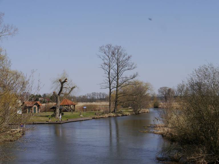 foto19