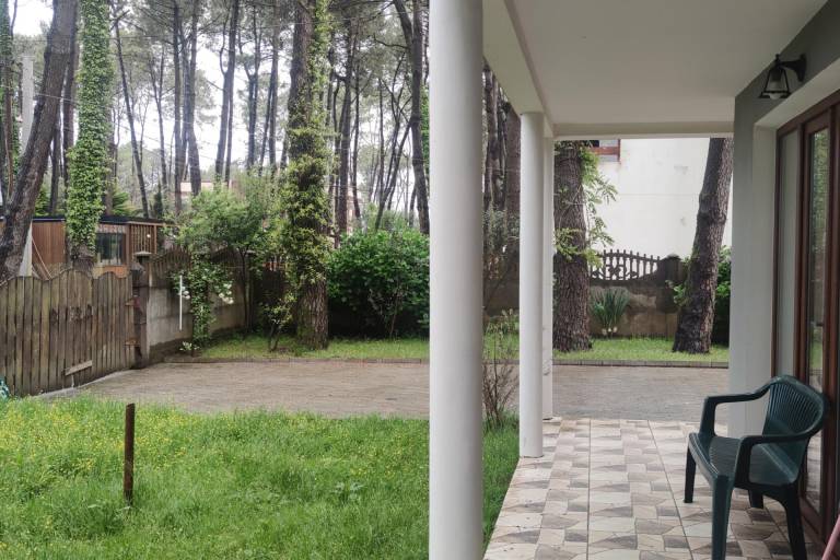 foto29