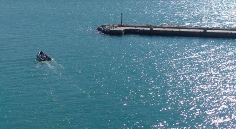 Rental apartment with 1 room for 4 persons in Portovenere