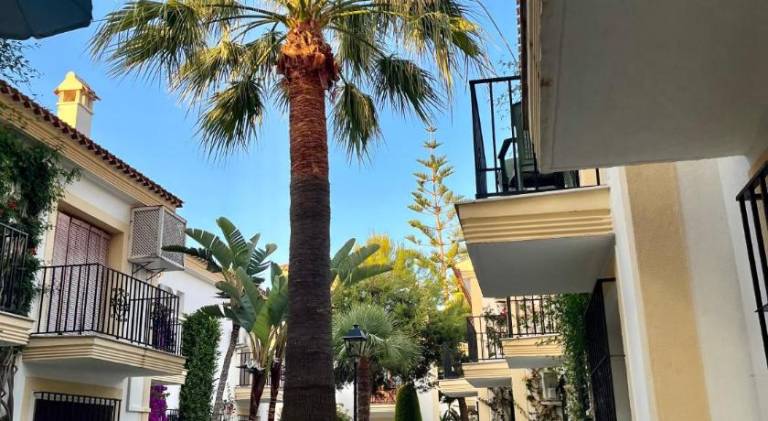 Holiday apartment with private pool, terrace & yard — photo 5
