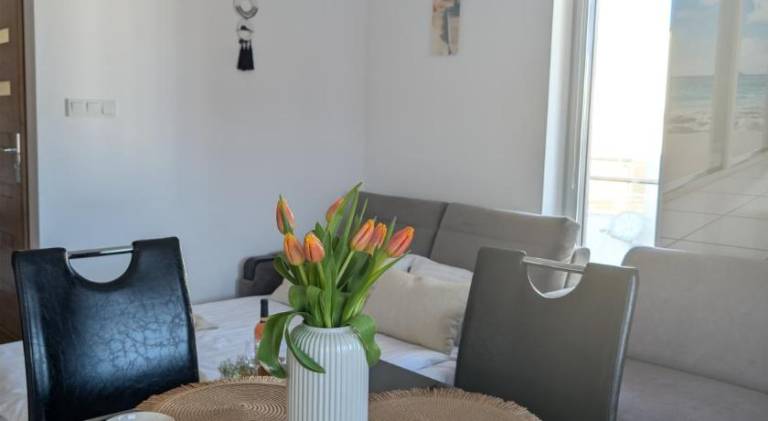 Holiday apartment | Beach nearby | Pets are welcome — photo 4