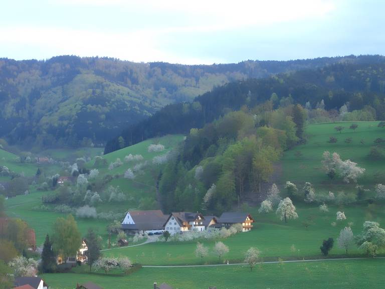 Ferienwohnung  Denzlingen