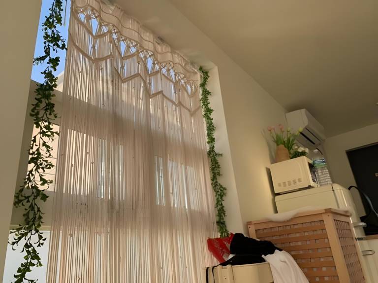 foto42