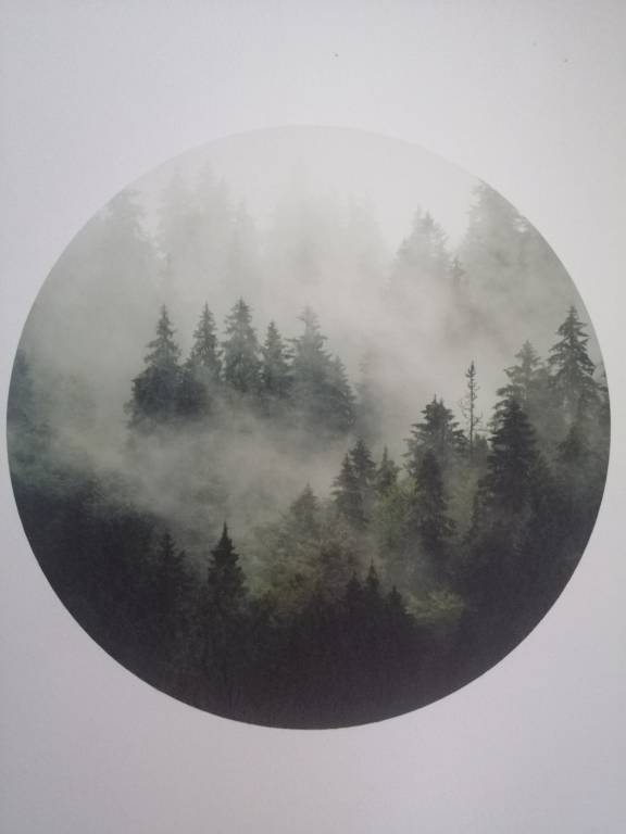 foto23