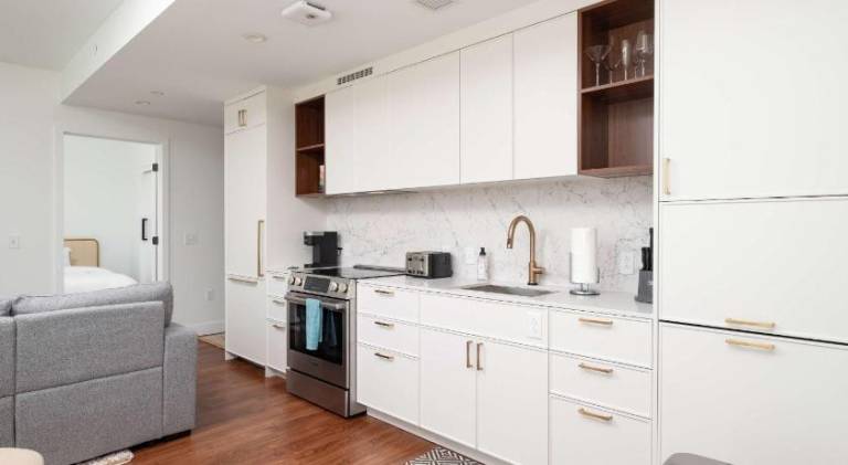 Back-Bay Lux Central 2BR Condo with Rooftop and Parking — photo 5