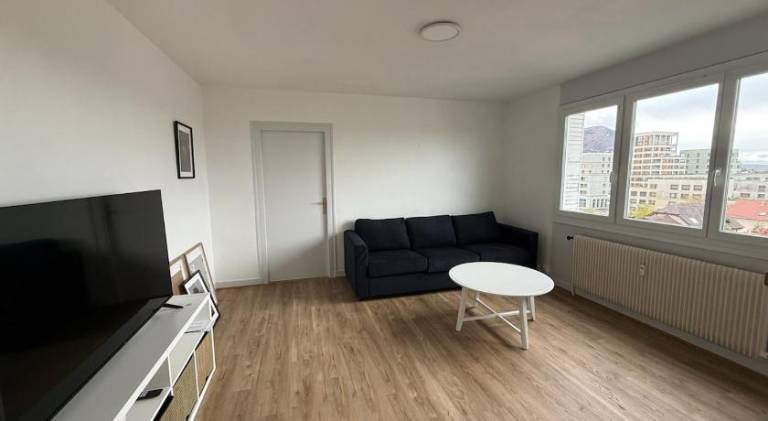 Wonderful apartment | Dogs allowed in Annemasse