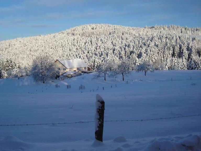 Cottage Girmont-Val-d'Ajol