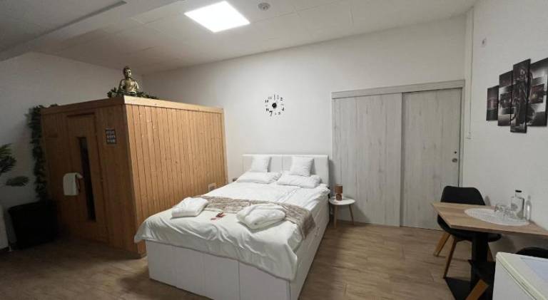 Holiday apartment with sauna in Gyor