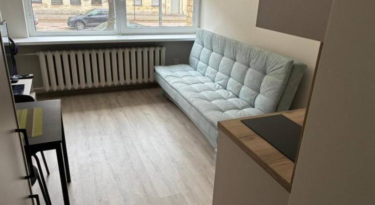 Wonderful rental apartment | Next to St Catherine's Church | Pets are welcome in Vilnius