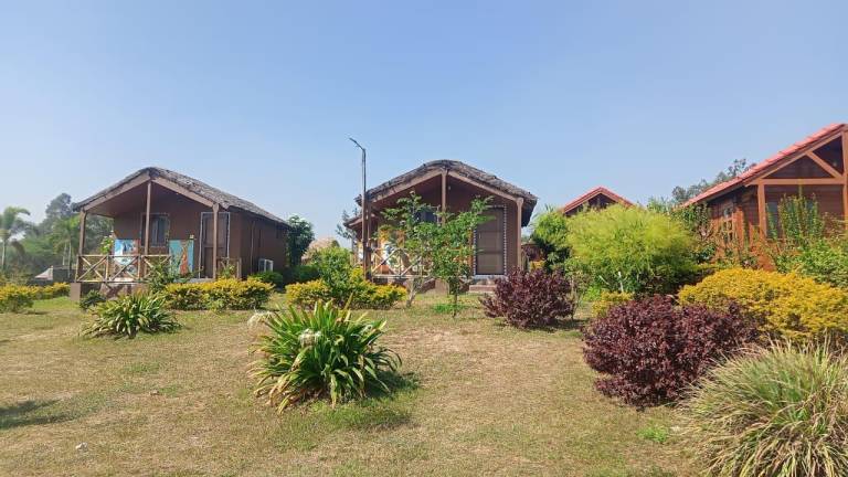 Leo Wooden Resort — photo 5
