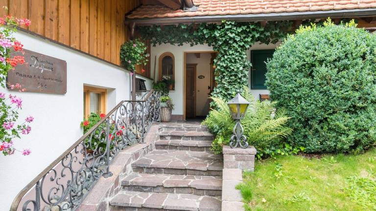 Ferienwohnung Partenen