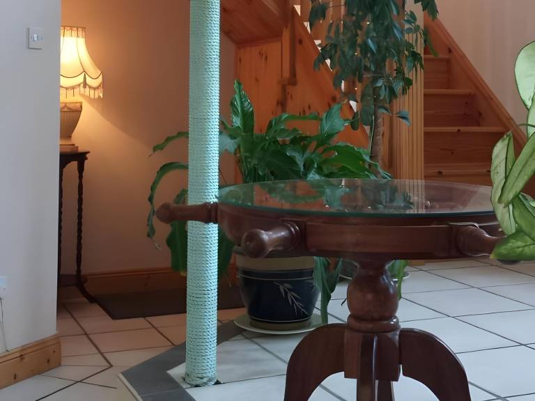 foto26