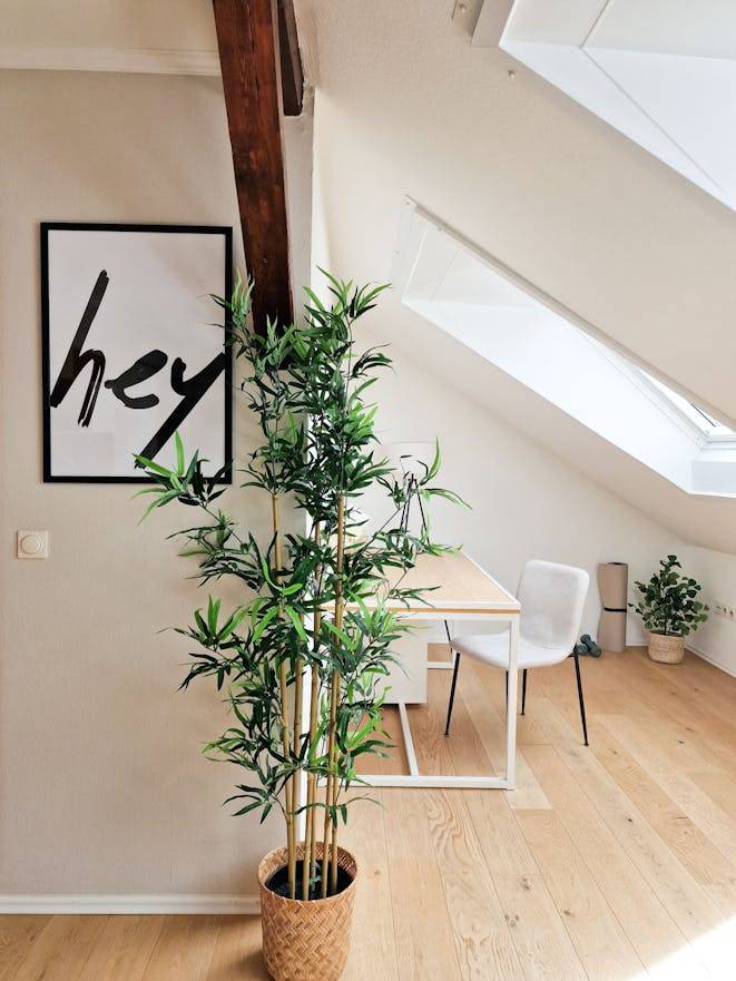 Ferienwohnung  Darmstadt