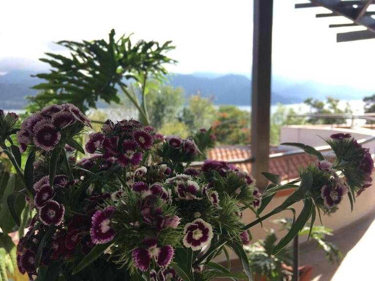 foto23