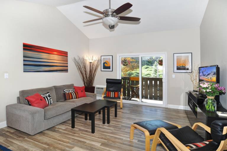 Condo Dana Point