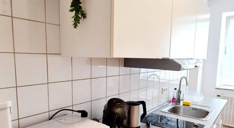 Beautiful holiday apartment | Pets are welcome — photo 5