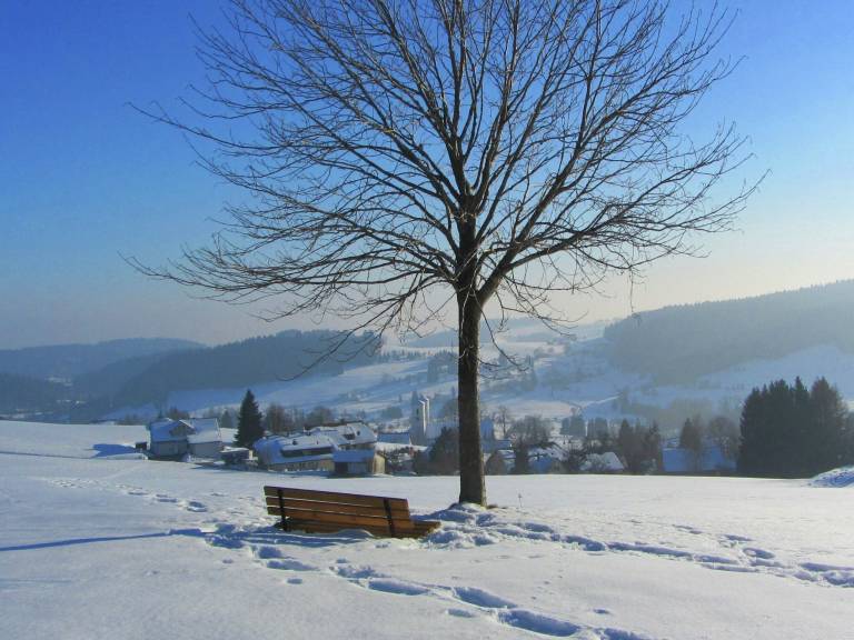 Apartment  Niedergebisbach