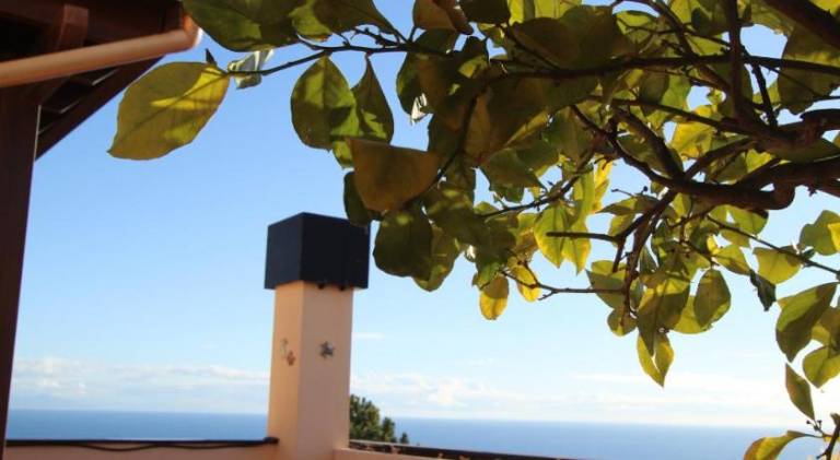 Apartment with pool | Dogs allowed in Varazze