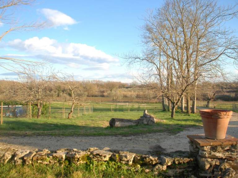foto19