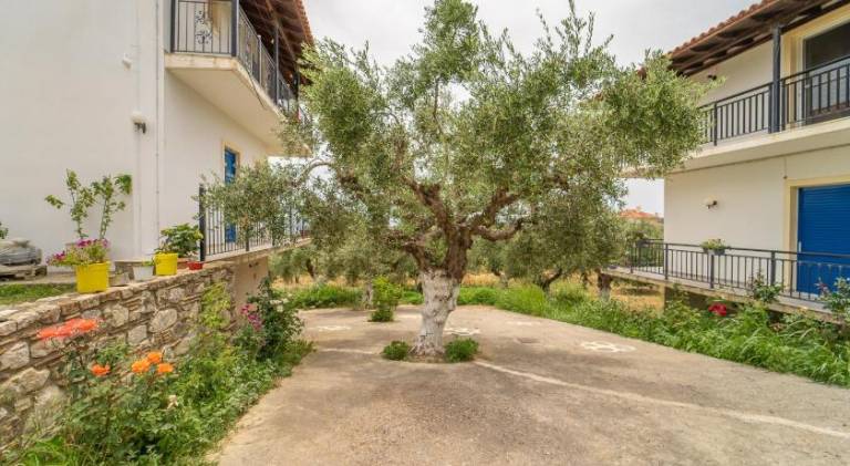 Holiday apartment with yard & patio | Perfect for remote work — photo 5