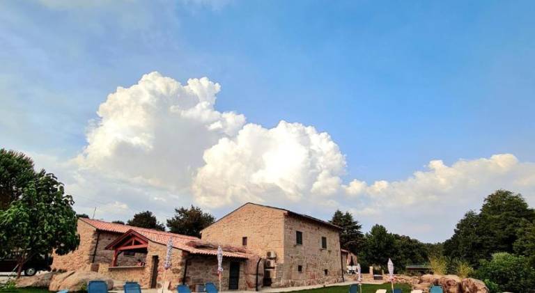 Quinta da Abadia — photo 4