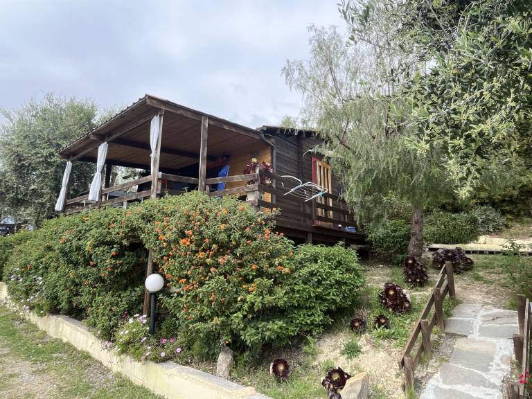 foto49
