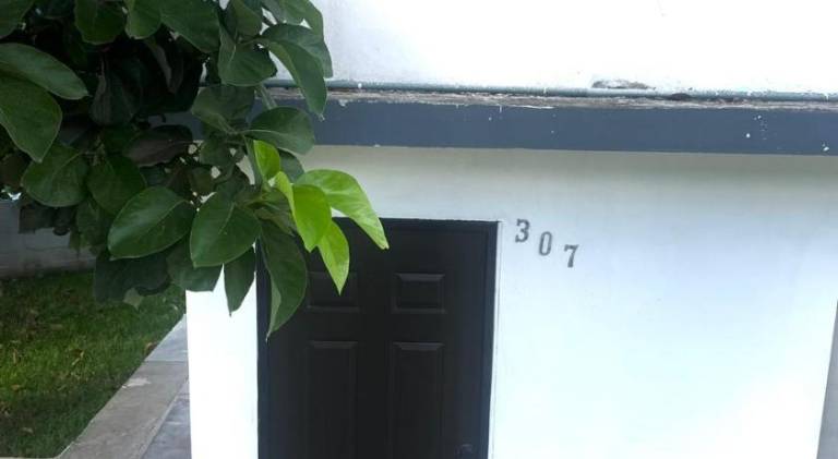 foto8