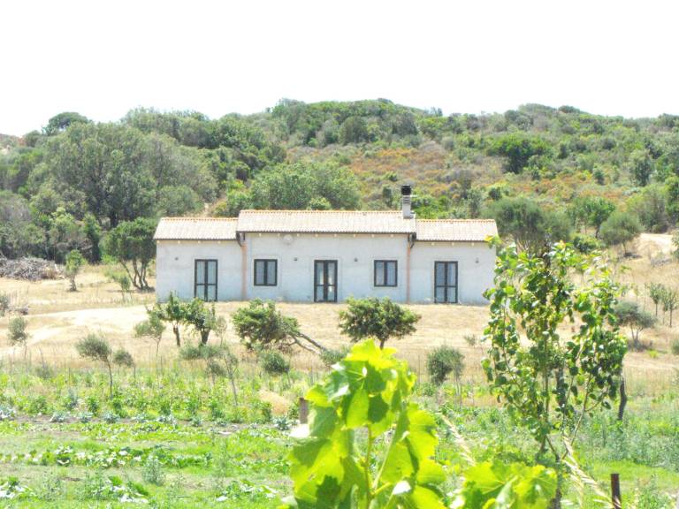 Casa  Rena Majore