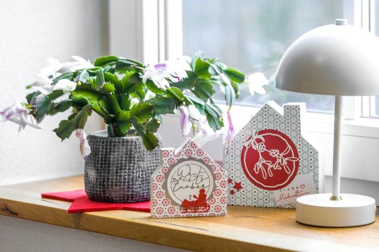 Ferienwohnung  Rothaargebirge