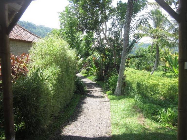 foto43