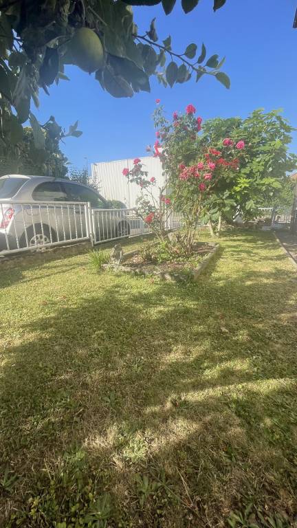 foto17