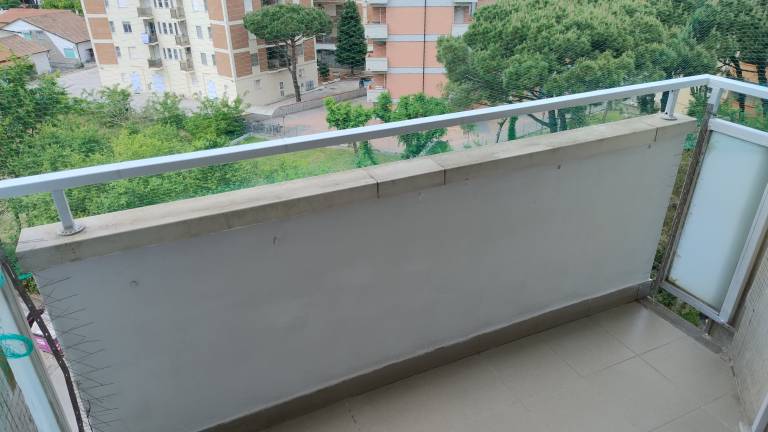 foto8