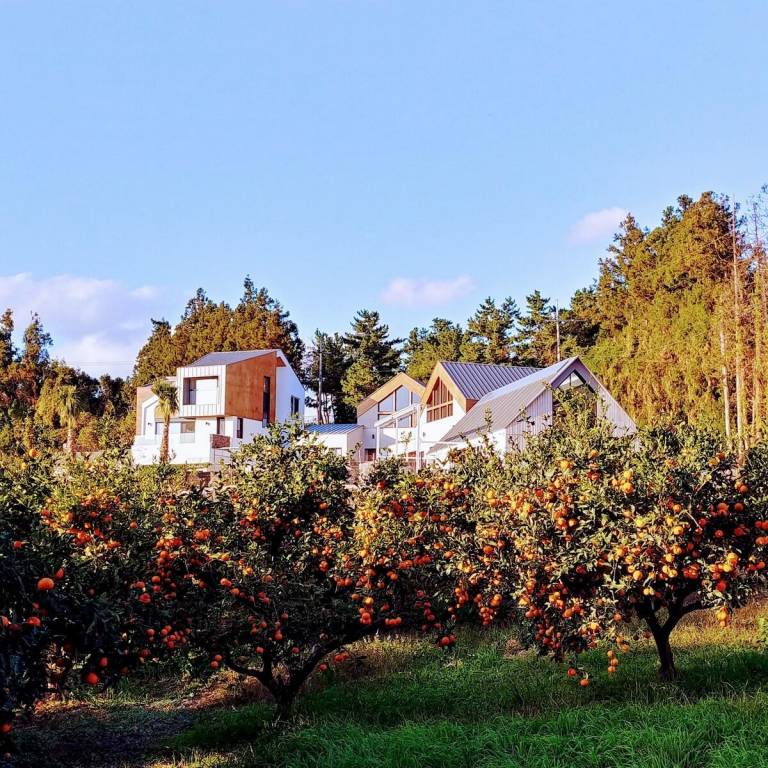 26 m² Ferienhaus