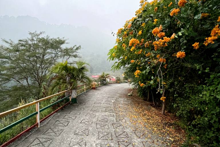 foto7