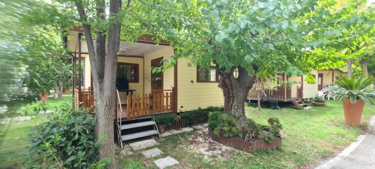House with patio | Close to the beach | Pet-friendly — photo 3