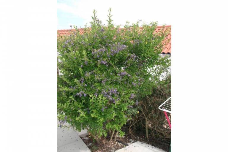 Apartamento Grândola